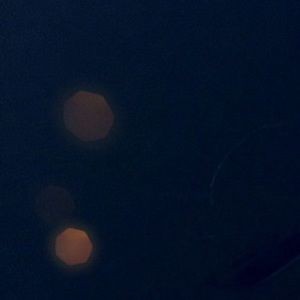 Meet your Posher, Cheyenne